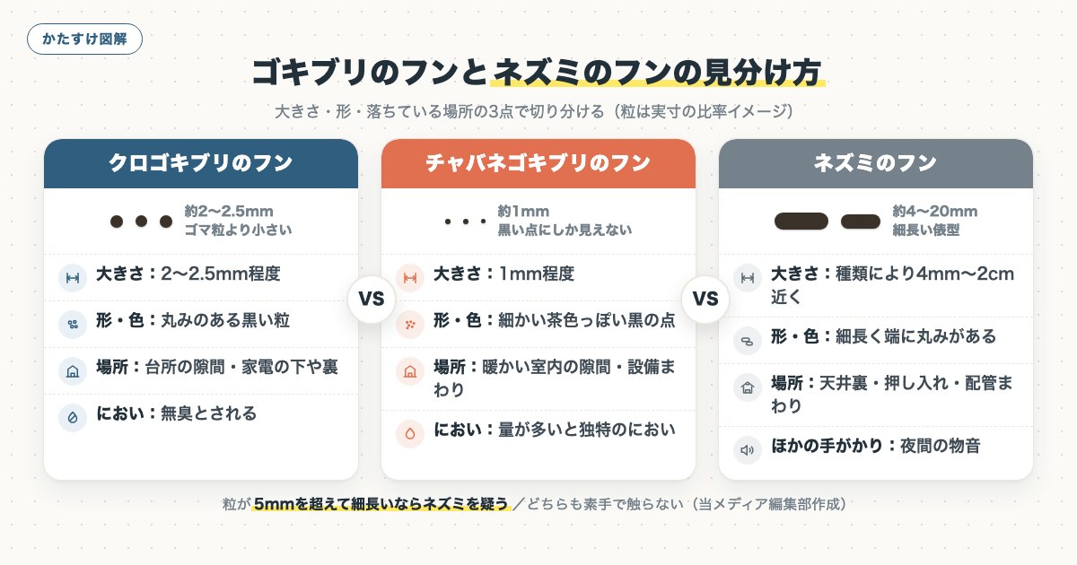 図解