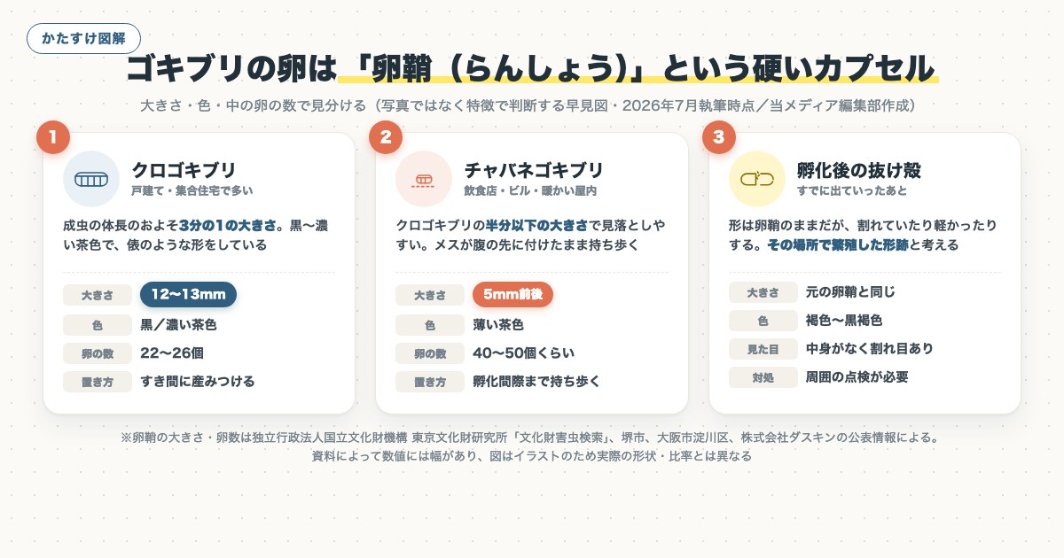 図解