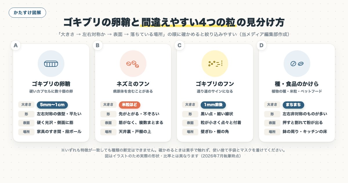 図解