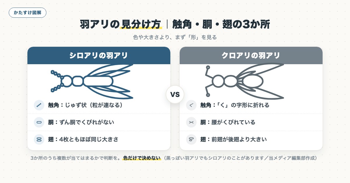 図解