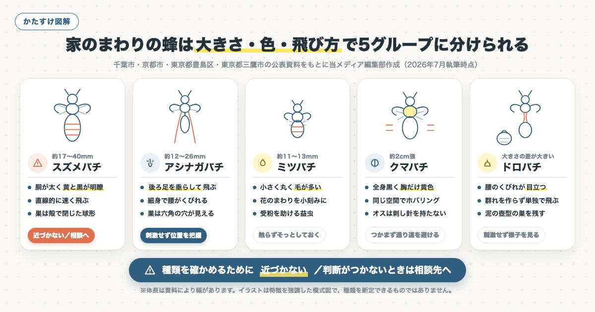 図解