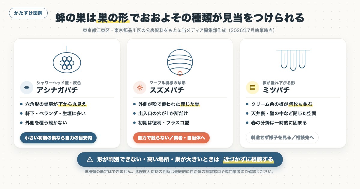図解