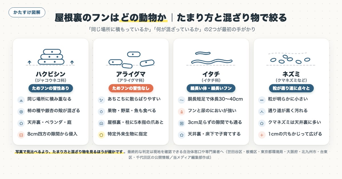 図解