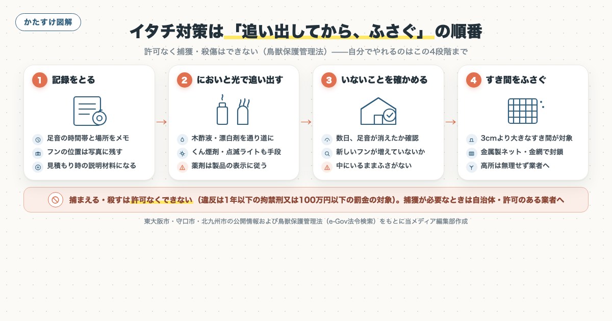 図解