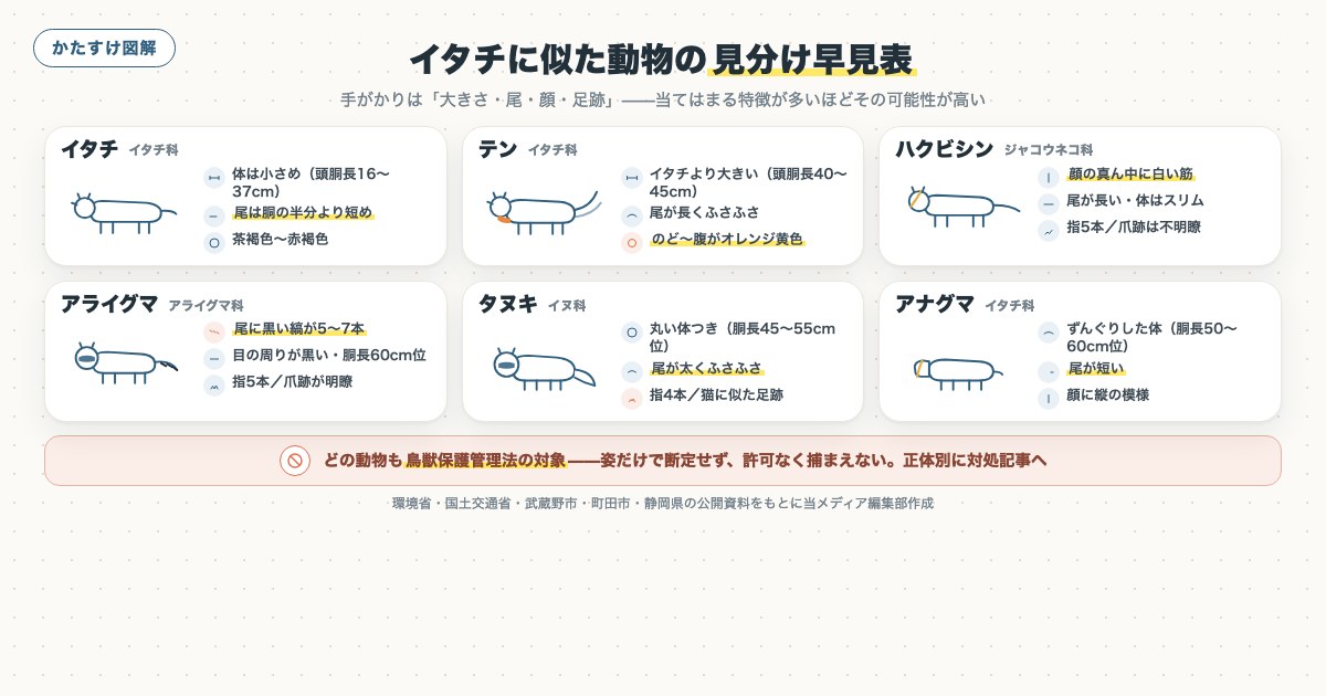 図解