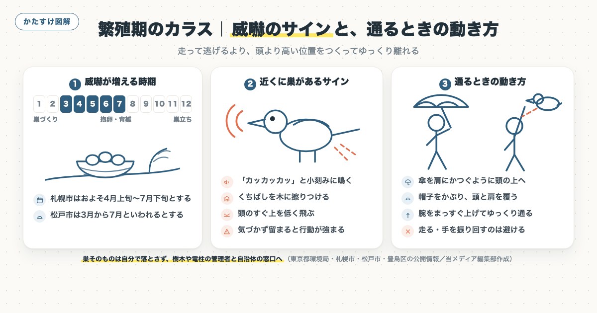 図解
