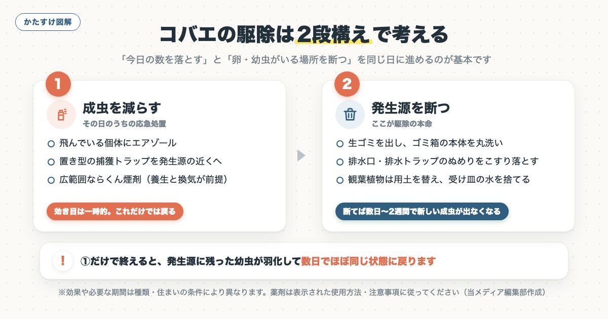 図解