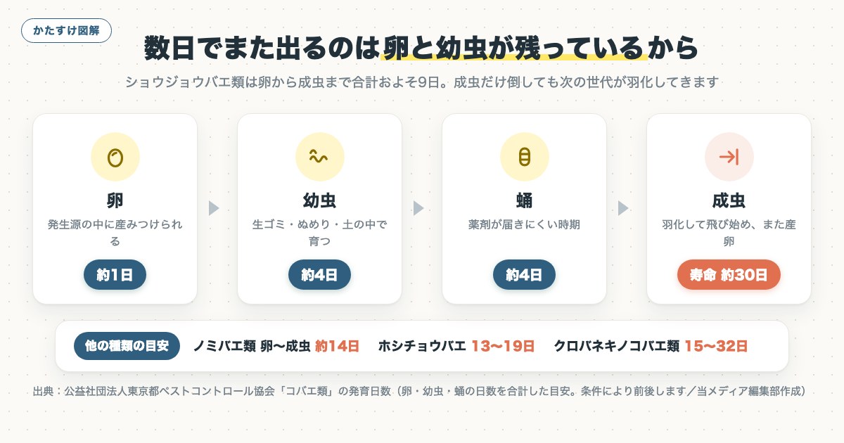 図解