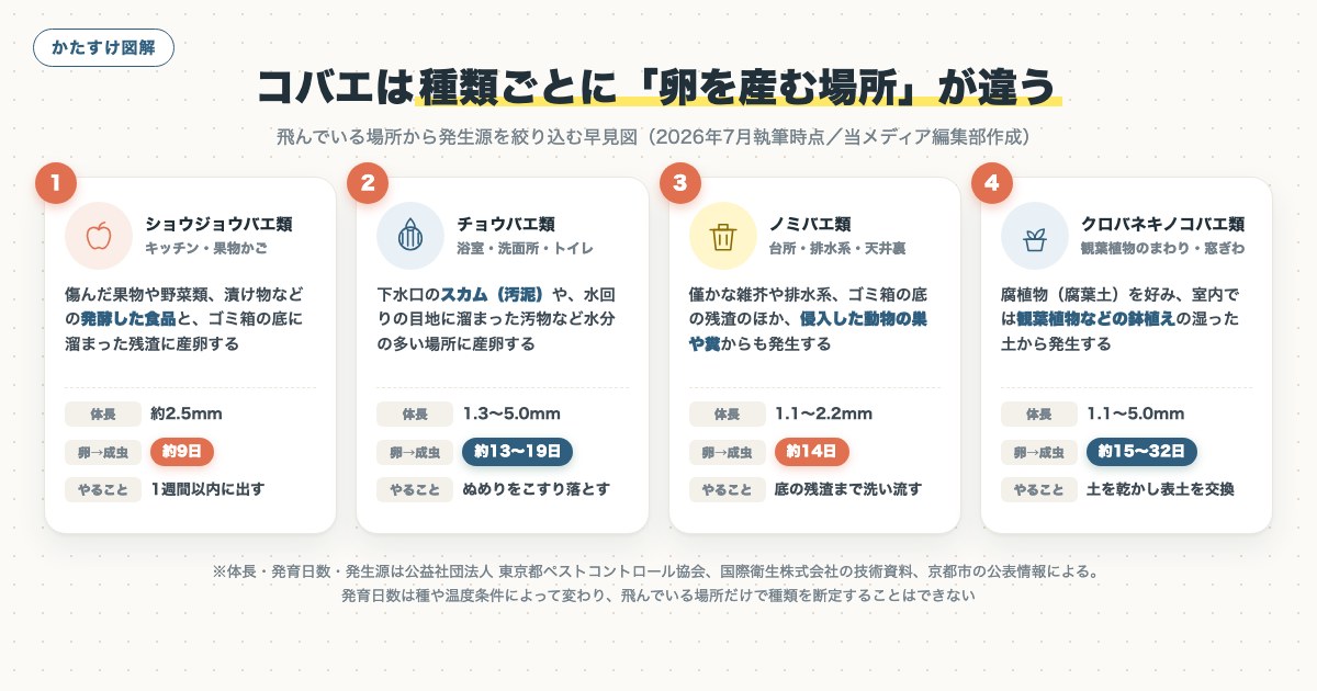 図解