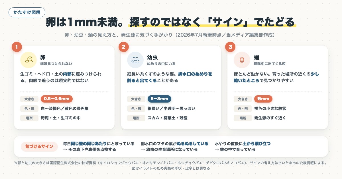 図解