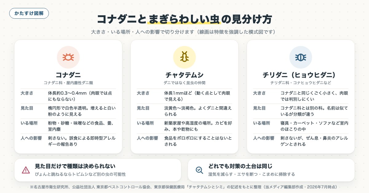 図解
