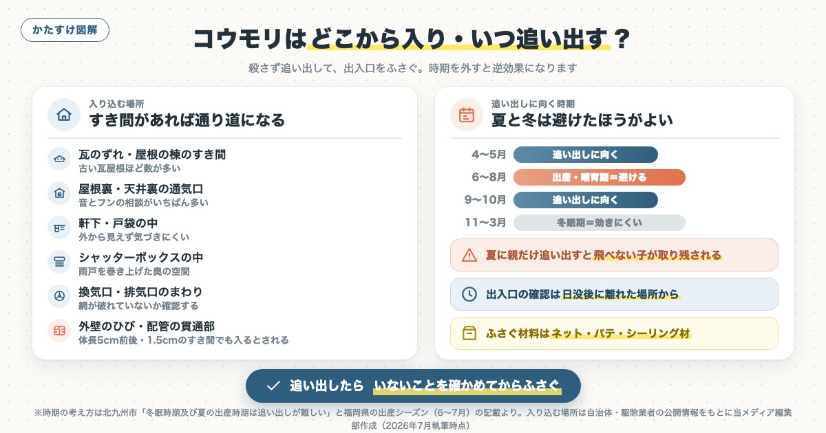図解