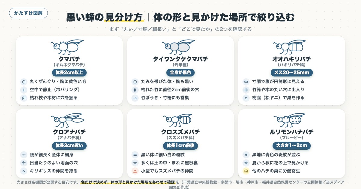 図解