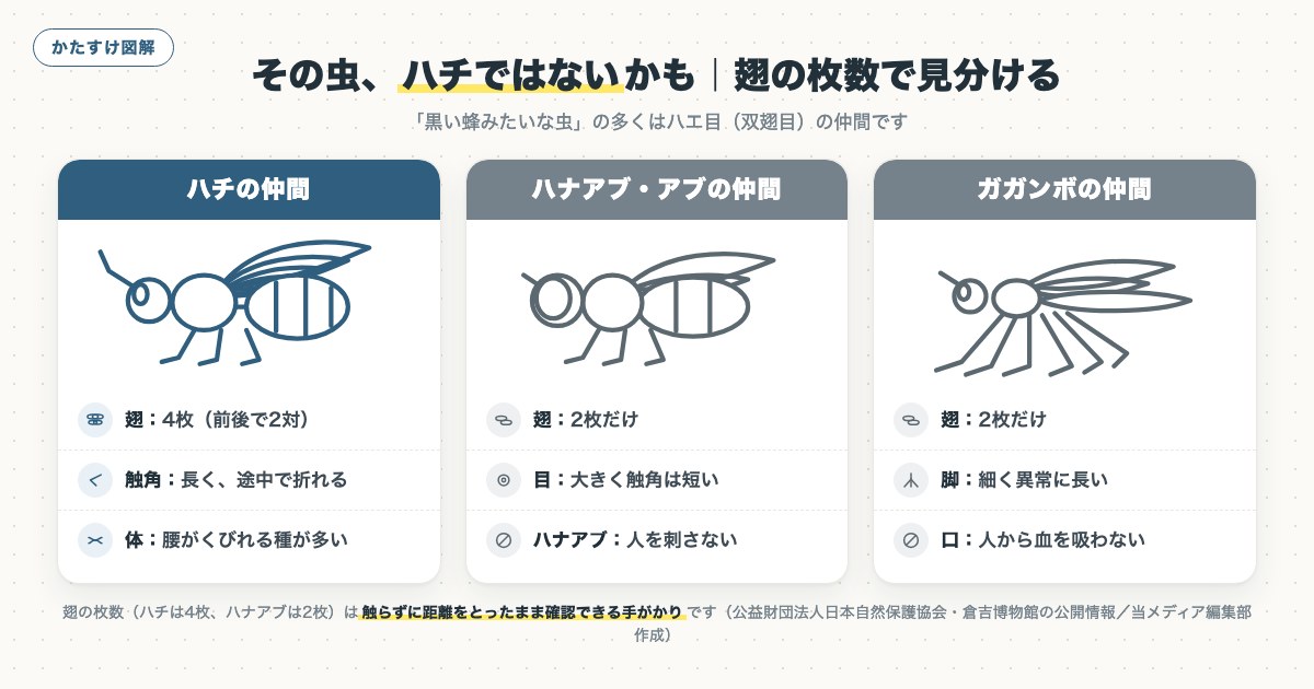 図解