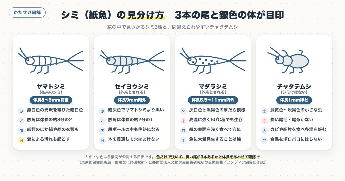 図解