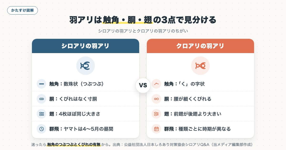 図解