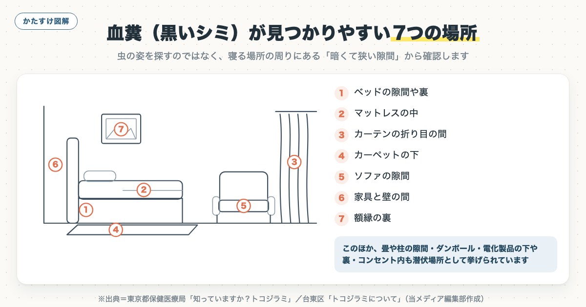 図解