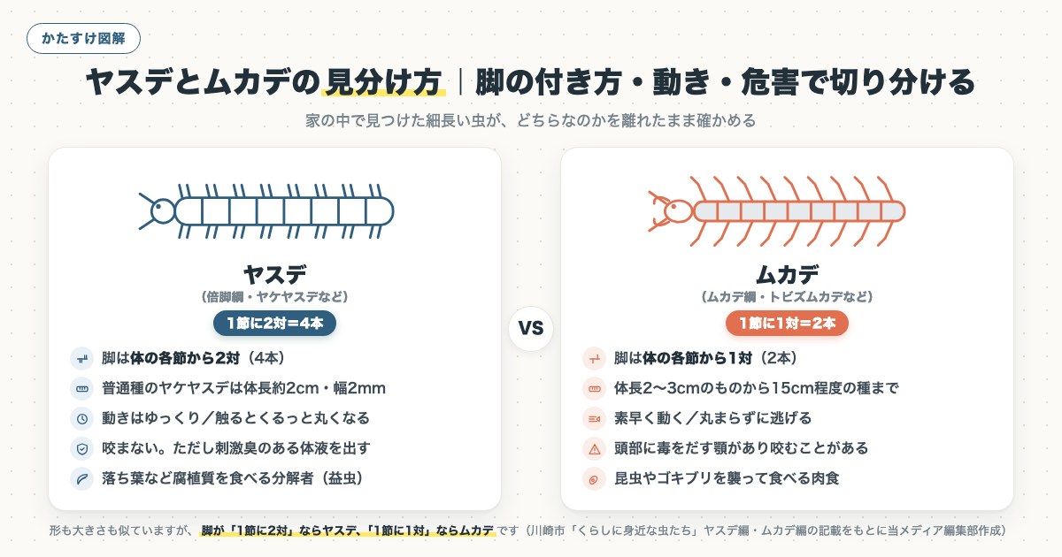 図解