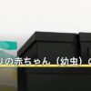 ゴキブリの赤ちゃん（幼虫）の見分け方