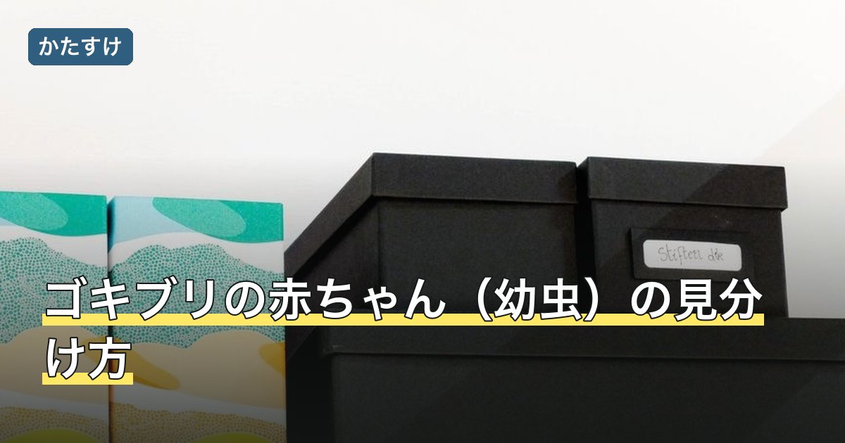 ゴキブリの赤ちゃん（幼虫）の見分け方