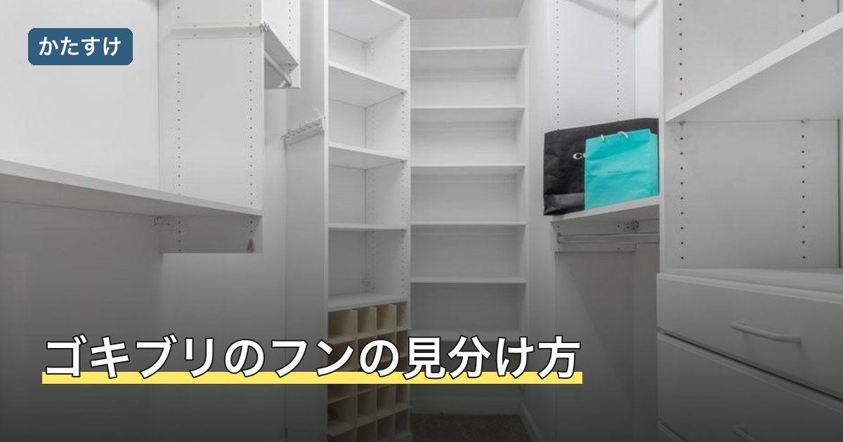 ゴキブリのフンの見分け方