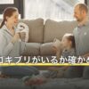 部屋にゴキブリがいるか確かめる方法