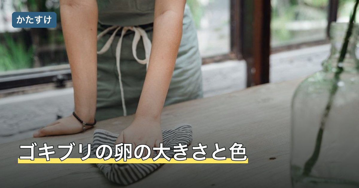 ゴキブリの卵の大きさと色