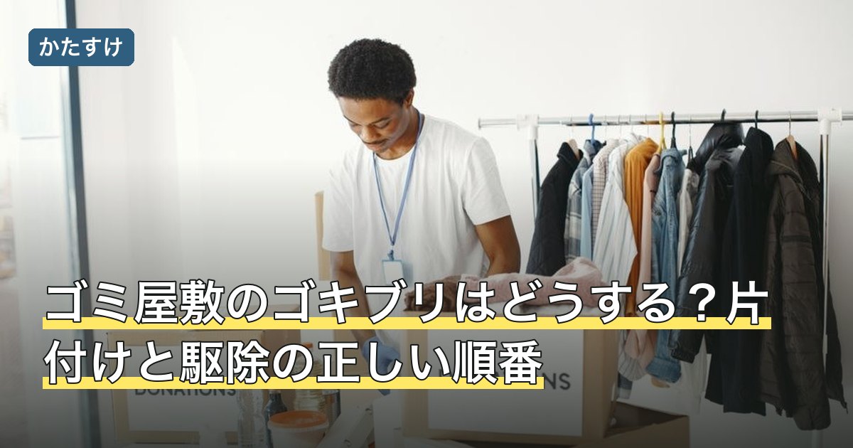 ゴミ屋敷のゴキブリはどうする？片付けと駆除の正しい順番