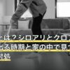 羽アリとは？シロアリとクロアリの違い・出る時期と家の中で見つけたときの対処