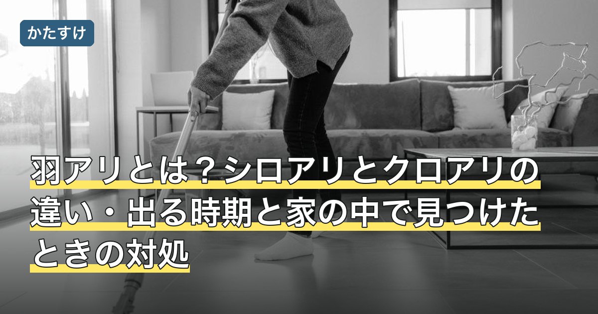 羽アリとは？シロアリとクロアリの違い・出る時期と家の中で見つけたときの対処
