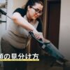 蜂の種類の見分け方