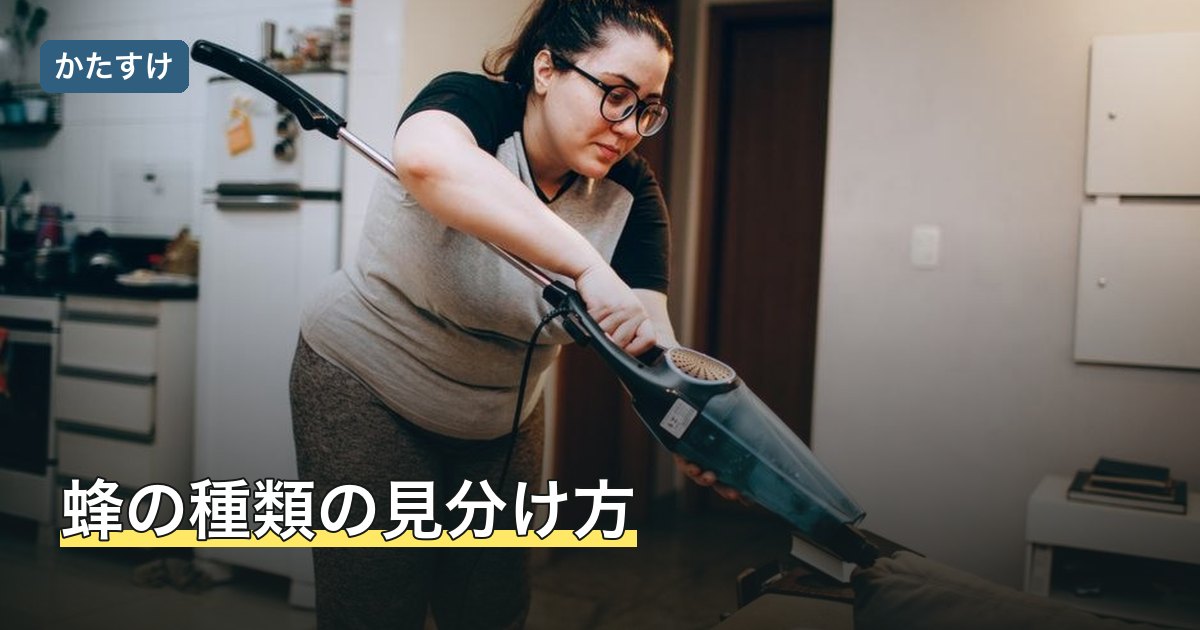 蜂の種類の見分け方