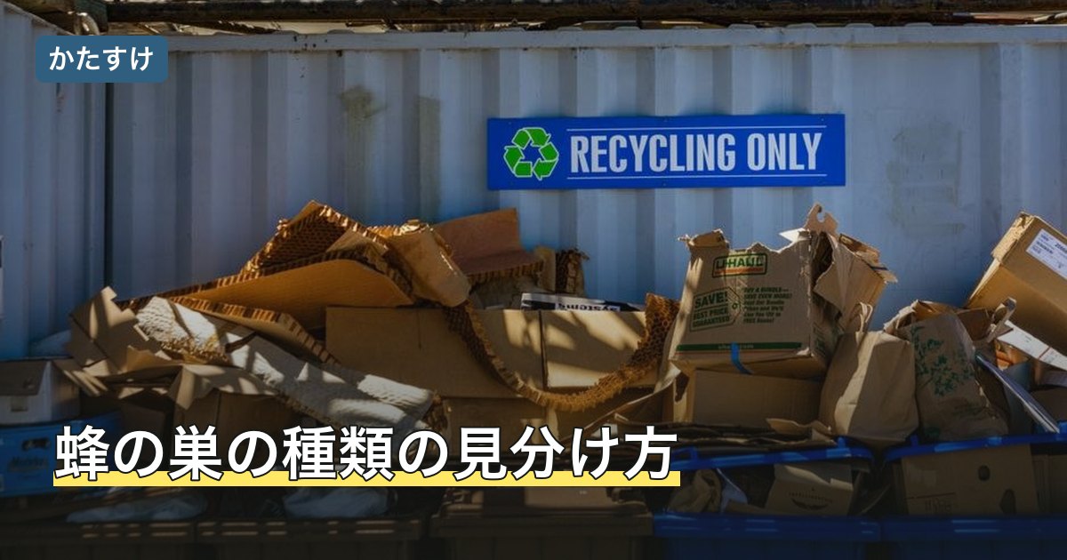 蜂の巣の種類の見分け方