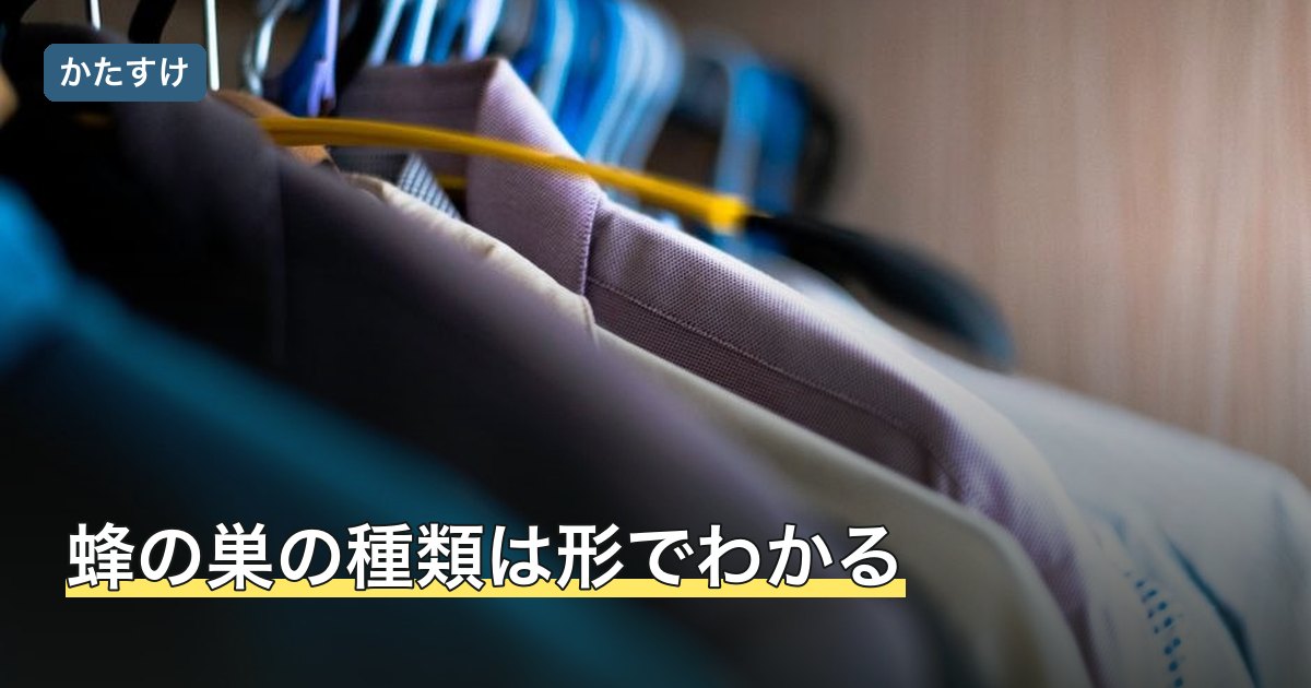 蜂の巣の種類は形でわかる