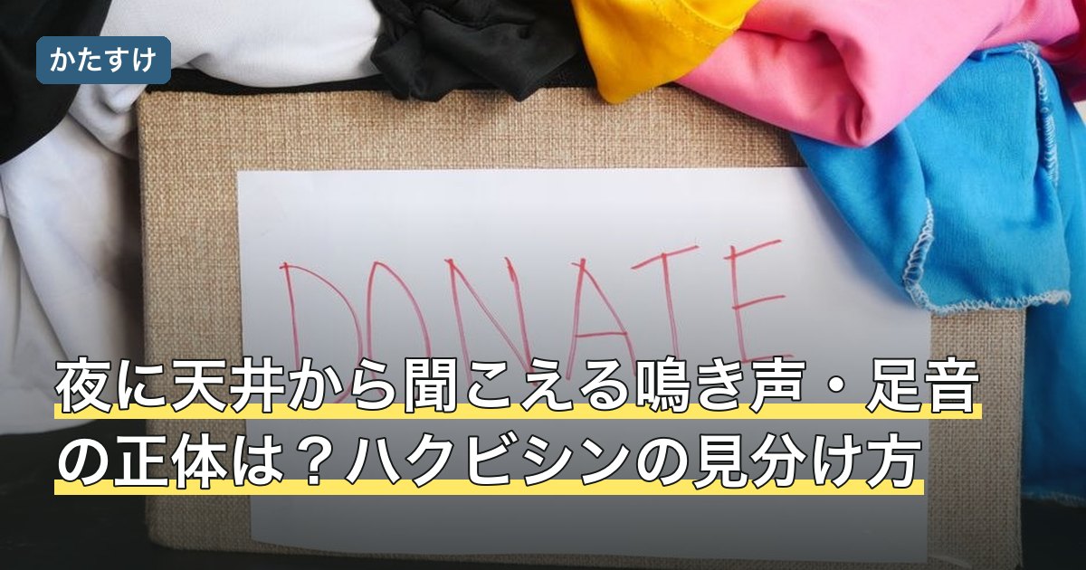 夜に天井から聞こえる鳴き声・足音の正体は？ハクビシンの見分け方