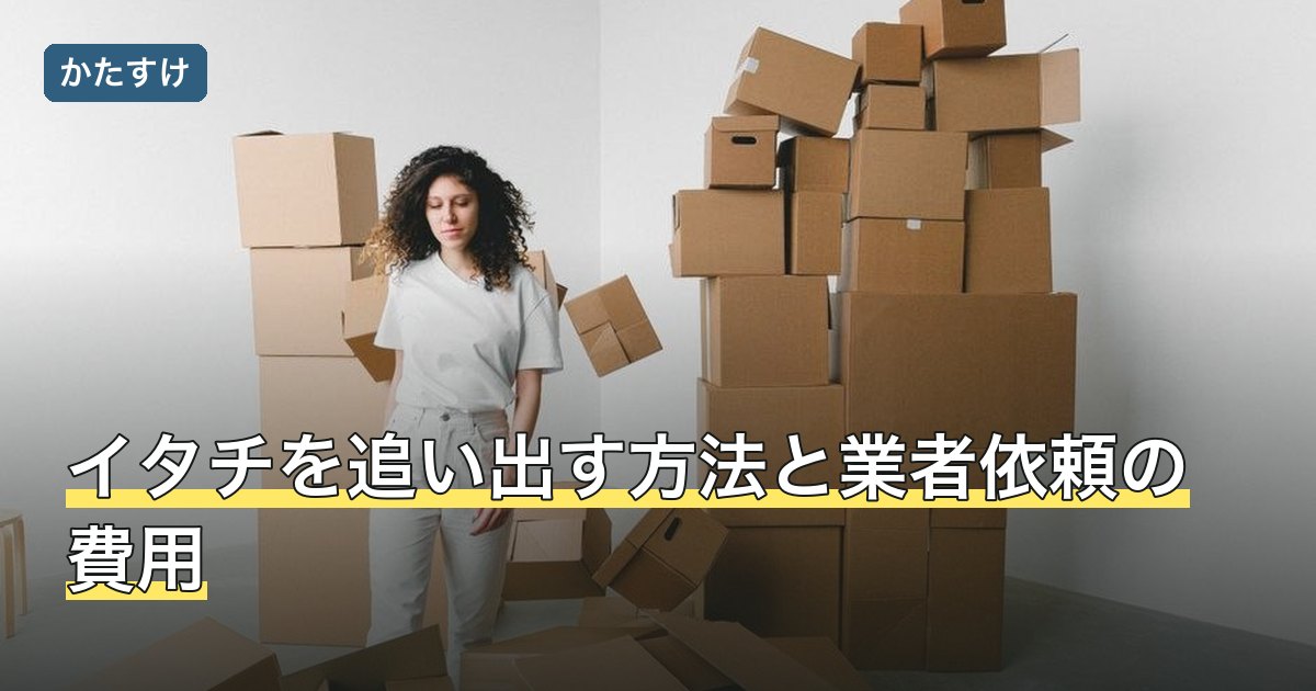 イタチを追い出す方法と業者依頼の費用