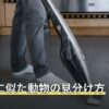 イタチに似た動物の見分け方