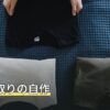 コバエ取りの自作