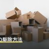 コバエの駆除方法
