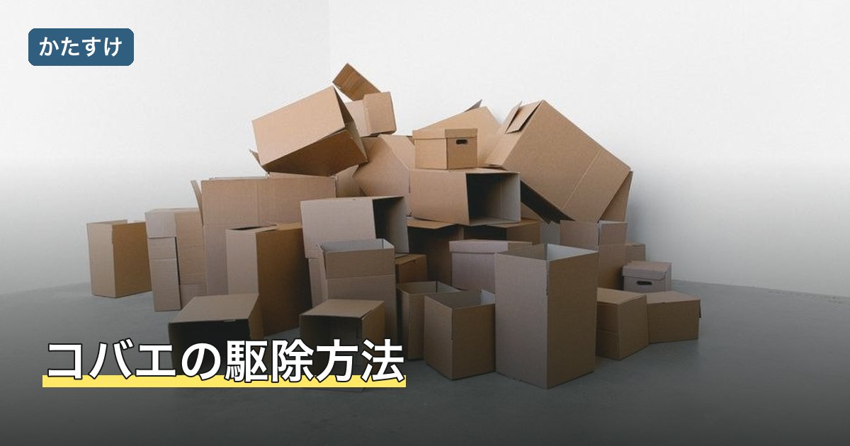 コバエの駆除方法