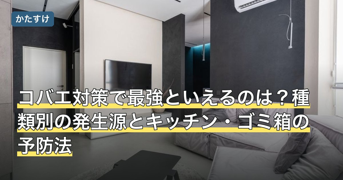 コバエ対策で最強といえるのは？種類別の発生源とキッチン・ゴミ箱の予防法