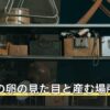 コバエの卵の見た目と産む場所