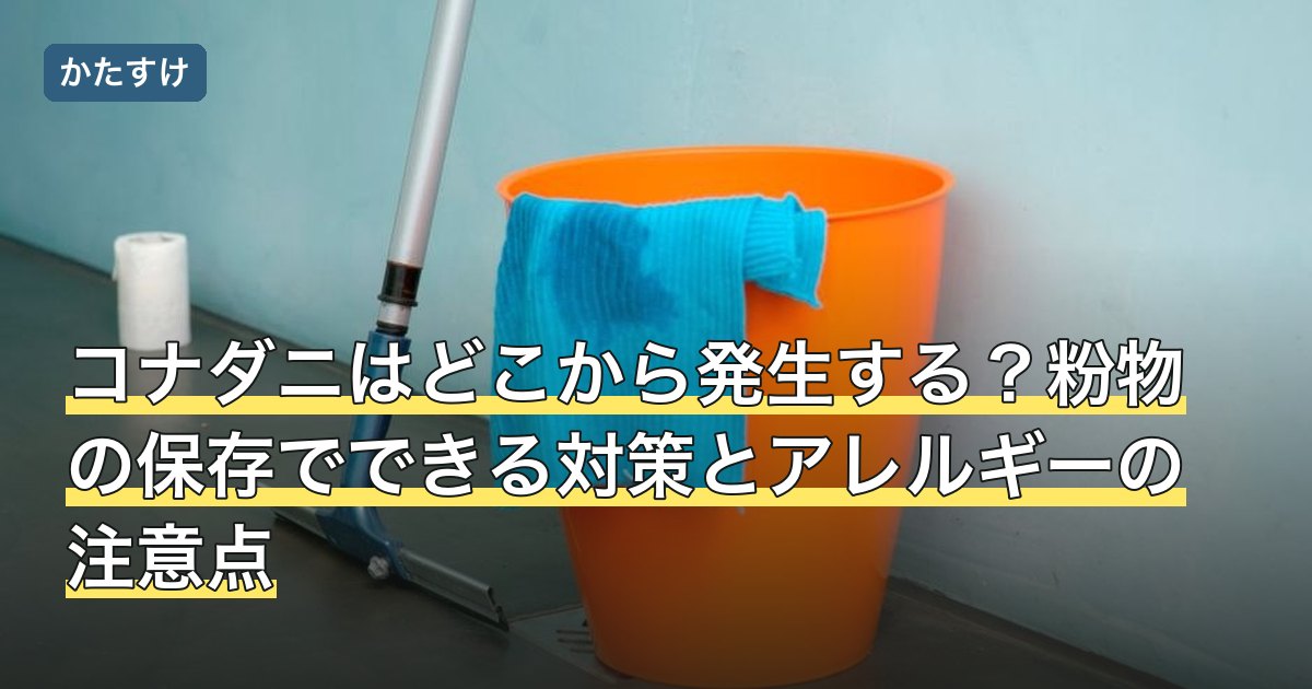 コナダニはどこから発生する？粉物の保存でできる対策とアレルギーの注意点