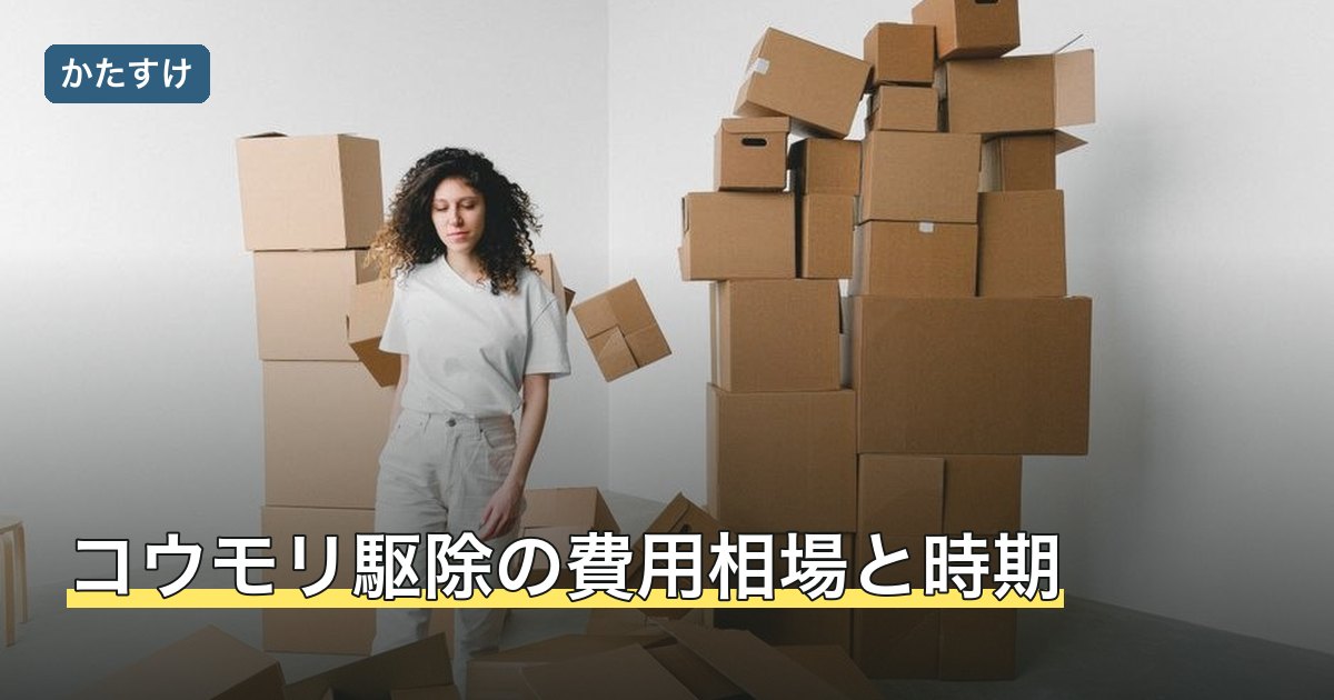 コウモリ駆除の費用相場と時期