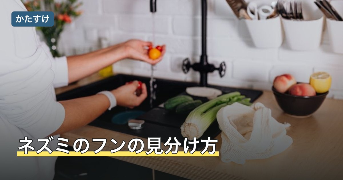ネズミのフンの見分け方