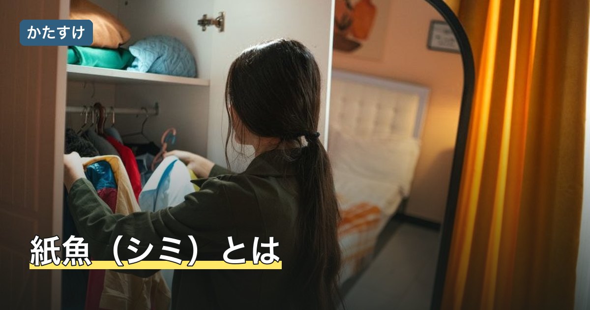 紙魚（シミ）とは