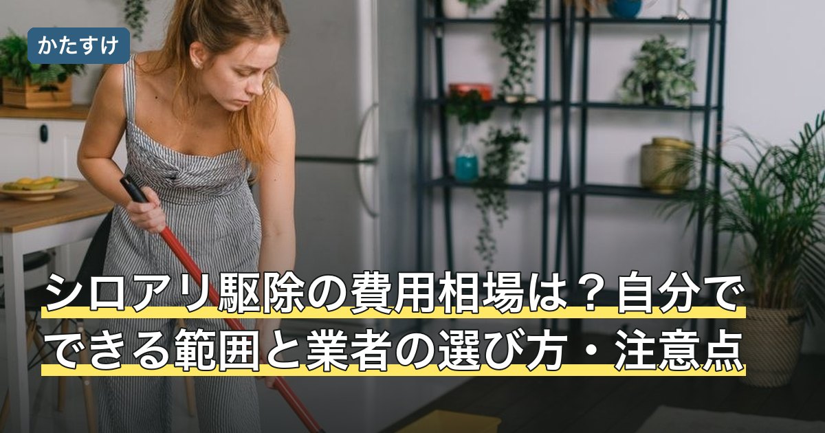 シロアリ駆除の費用相場は？自分でできる範囲と業者の選び方・注意点