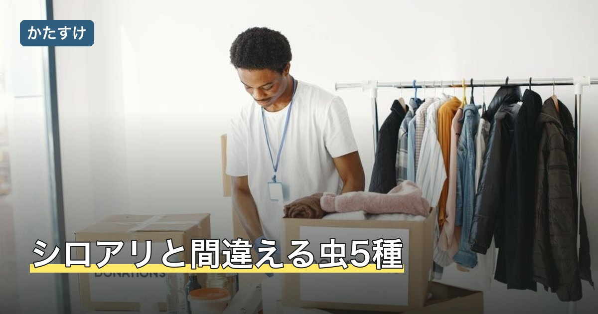 シロアリと間違える虫5種