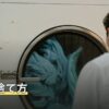 醤油の捨て方