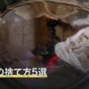 炊飯器の捨て方5選